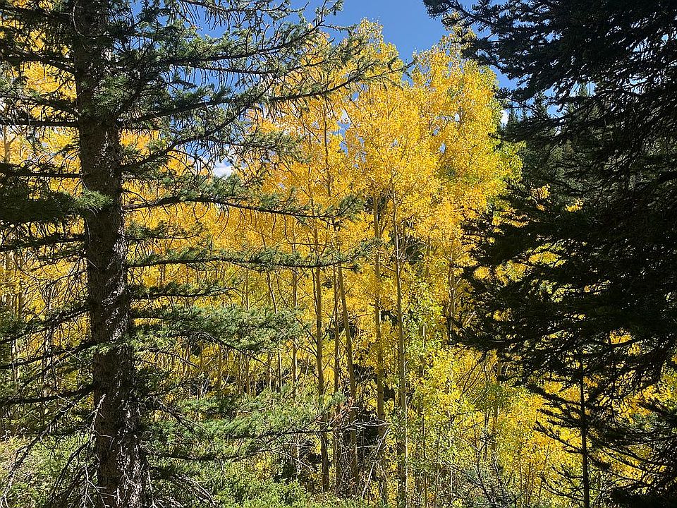            PITKIN COUNTY TDR