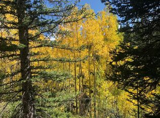 0 Tdr Transferable Development Right, Aspen, CO 81611