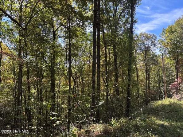 3 Holly Ridge Drive, Topton, NC 28781