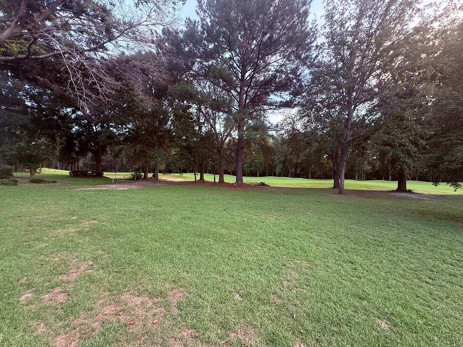 4 bed, 1829 sqft, $2,650 — Photo 3