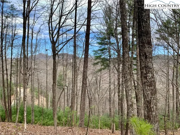 Tbd Deer Run Road, Deep Gap, NC 28618