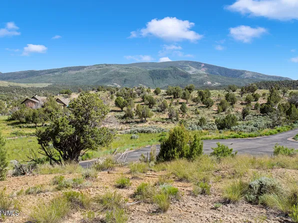 221 Chaparral Ranch Rd, Gypsum, CO 81637