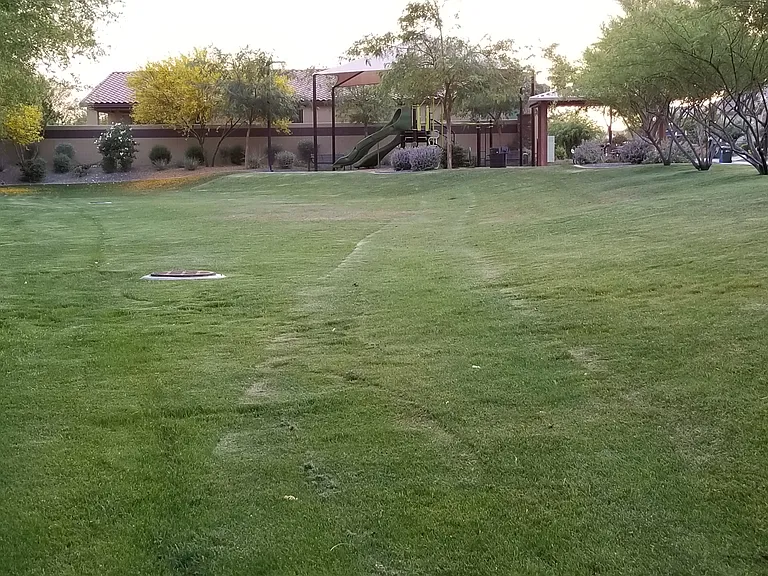 Community park