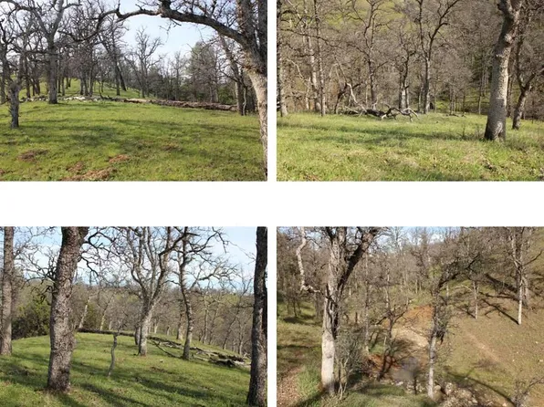 11500 Cool Spring Ct, Red Bluff, CA 96080