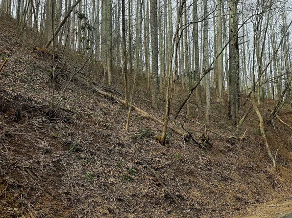 LOT 15 Emerald Springs Loop, Sevierville, TN 37862