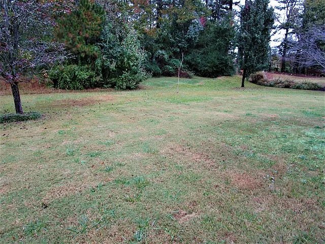 4812 Devonhurst Way — Photo 30