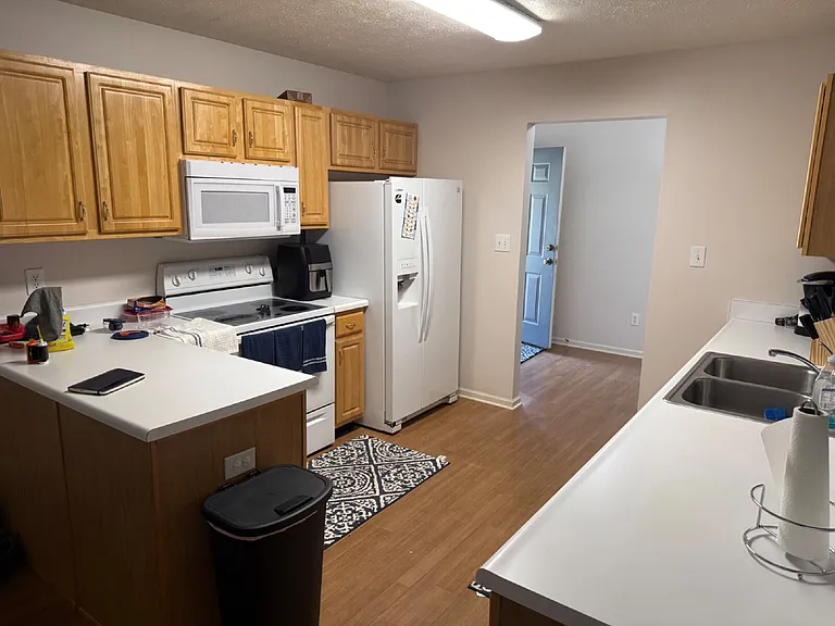 7227 Brant Pointe Cir — Photo 4