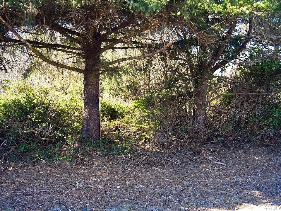 2nd image of 349 Ensign Ave NW