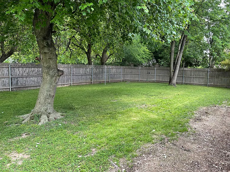 Rear Yard