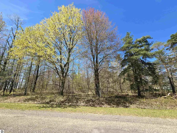 235 Country Club Dr, Mancelona, MI 49659