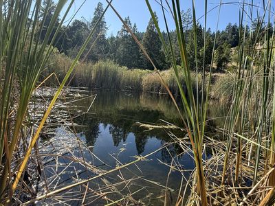 7415 Salmon Creek Rd, Myers Flat, CA, 95554