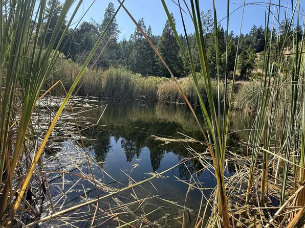 7415 Salmon Creek Rd, Myers Flat, CA 95554