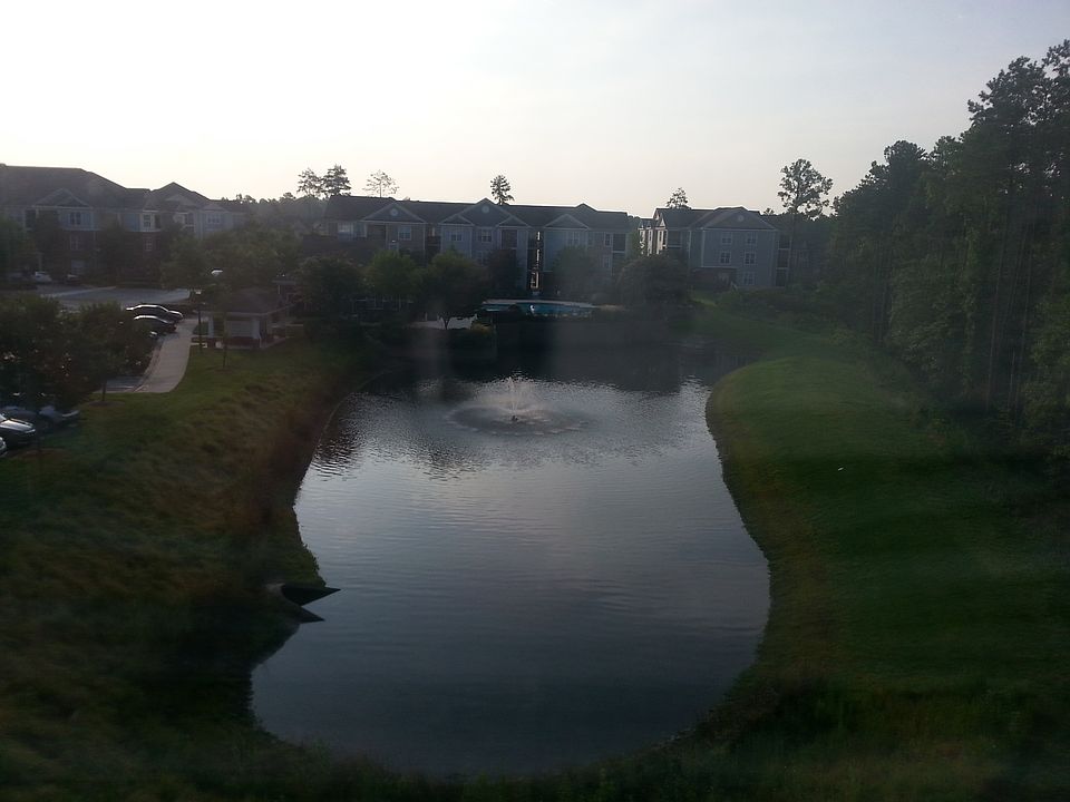 View from the screened in deck