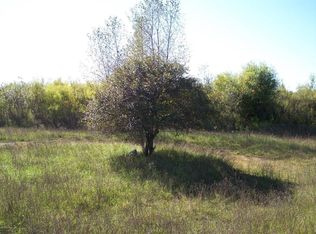 11675 5 Mile Rd, Evart, MI 49631