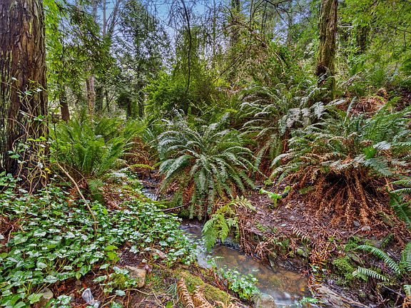 2nd image of 207 Lanford Rd