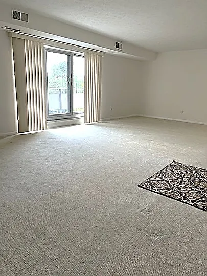 Foyer to Living and Dining Rooms