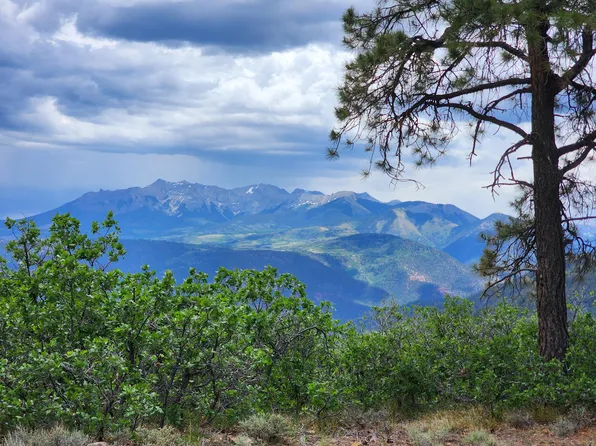 Canyon Rim Loop Lot 6, Placerville, CO 81430