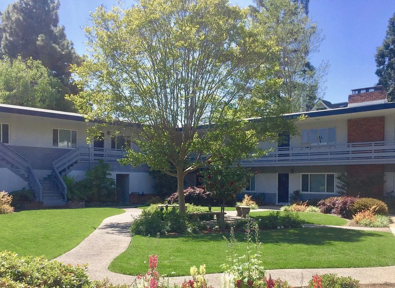 Noel Court Apartments — Photo 2