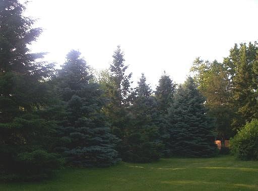 4th image of 2414 Kellogg St