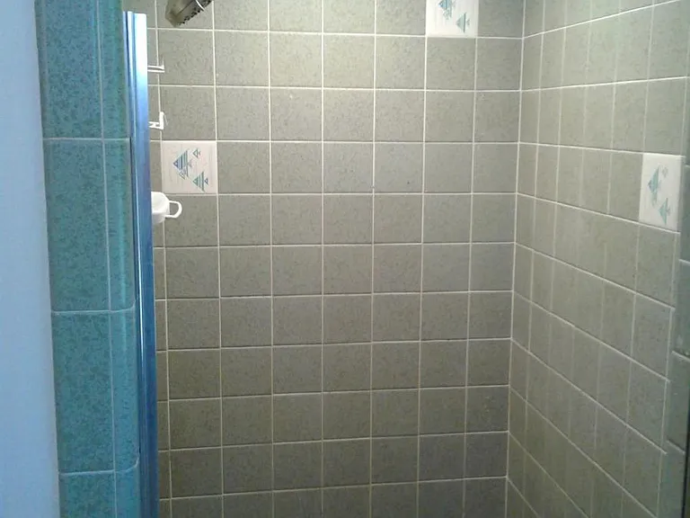 2nd bath shower