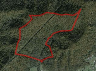 3333 Turnpike Rd, Summersville, WV 26651