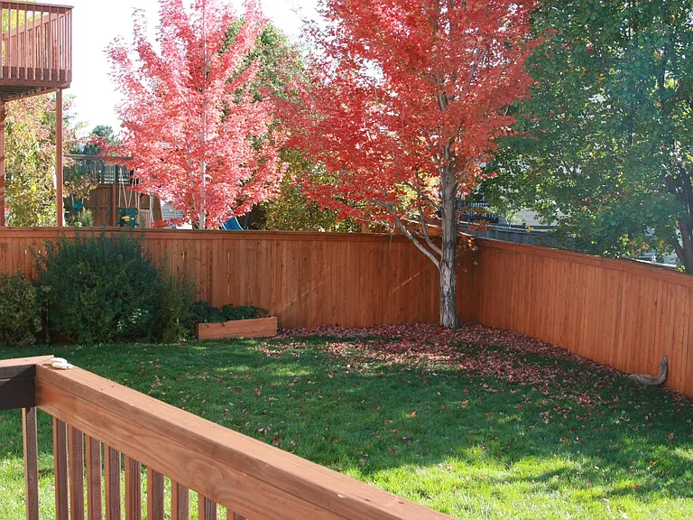 9801 Chadwick Way — Photo 19