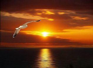 1718 Hallendale Ave SW, Palm Bay, FL 32908