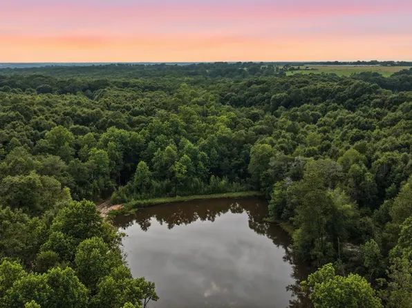 0 County Road 438, Elba, AL 36323