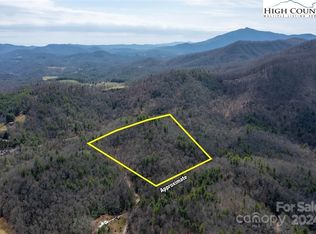 0 Bulldog Ln, Green Mountain, NC 28740