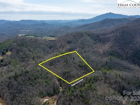 000 Bulldog Lane, Green Mountain, NC 28740