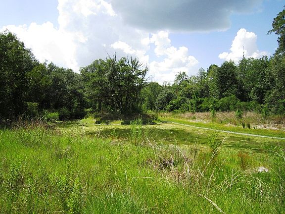 Want to fish in your own backyard? Here your pond!