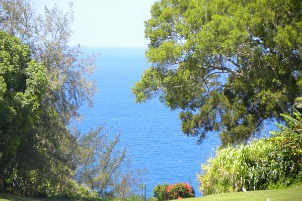 1st image of 4004 Aloalii Dr