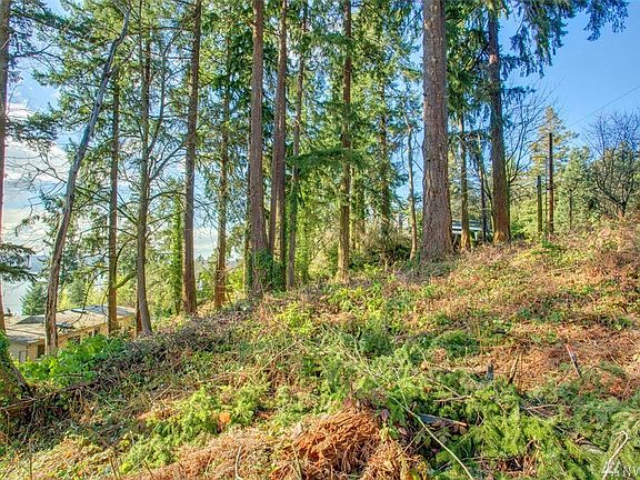 Approximately 3/4 of the way up looking to the west.