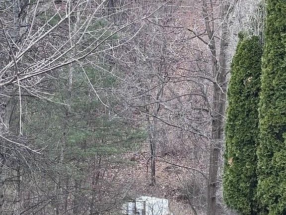 2nd image of LOT 184 Sleigh Dr
