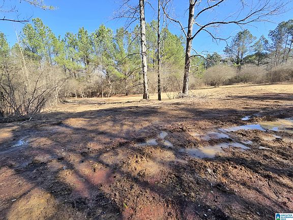 3rd image of 1615 Blanton Rd #0