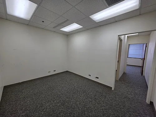 1314 S King St #1461 Photo 1