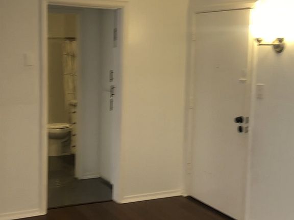 4th image of 439 S Hobart Blvd #8983219