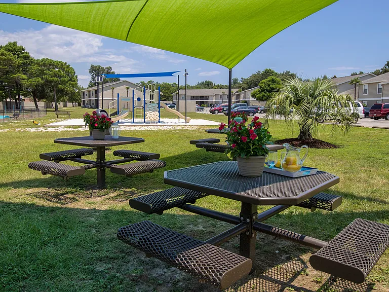 Enjoy a delightful picnic in our designated recreation area with relaxing hammocks, a cornhole court, and a fun playground.