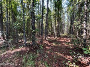 709 GEORGETOWN DENVER Road, Crescent City, FL 32112