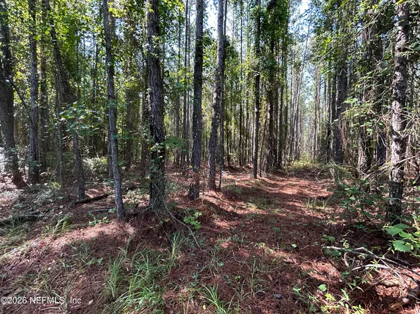 709 GEORGETOWN DENVER Road, Crescent City, FL 32112