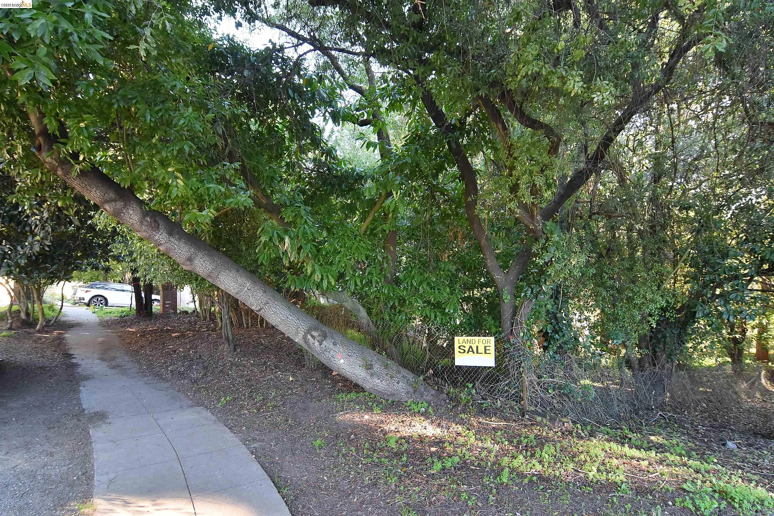 962 Regal Rd photo 1