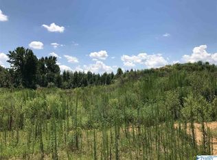 Smith Vasser Rd, Harvest, AL 35749