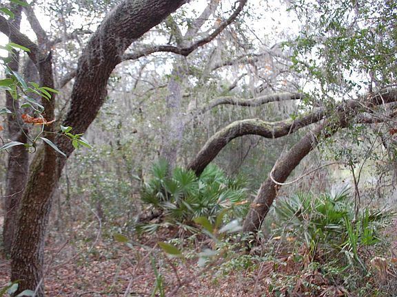 4th image of 885 S County Road 21