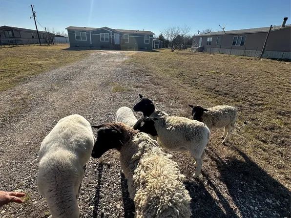 1581 NE County Road 2120, Powell, TX 75153