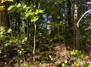 Headrick Lead, Sevierville, TN 37862