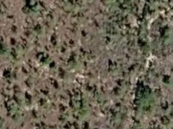 000 Unassigned Location, Interlachen, FL 32148