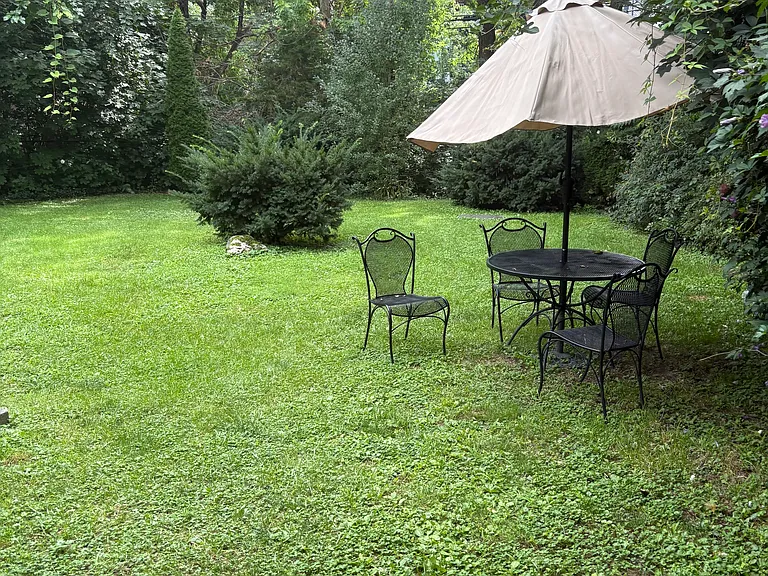 Beautiful yard !