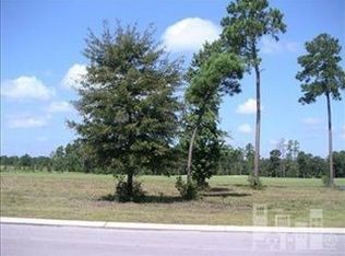 161 Falls Landing Way, Wallace, NC 28466