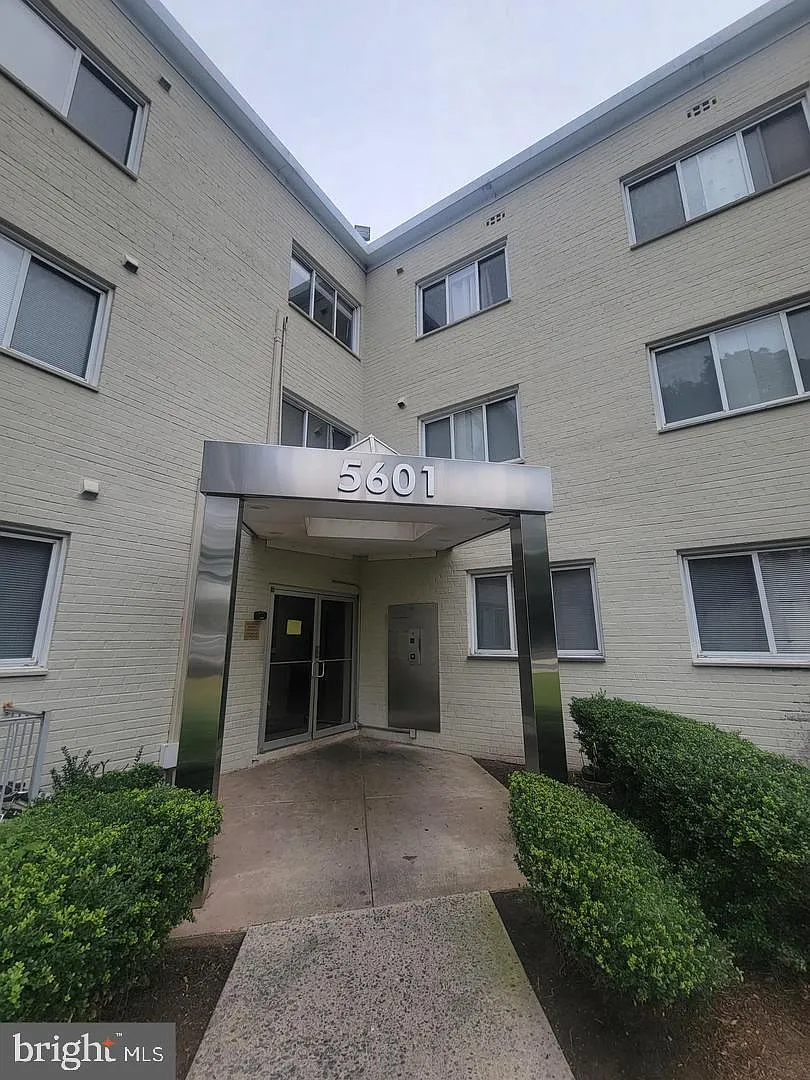 1 bed, 1.0 bath, 703 sqft, $1,250 — Photo 2