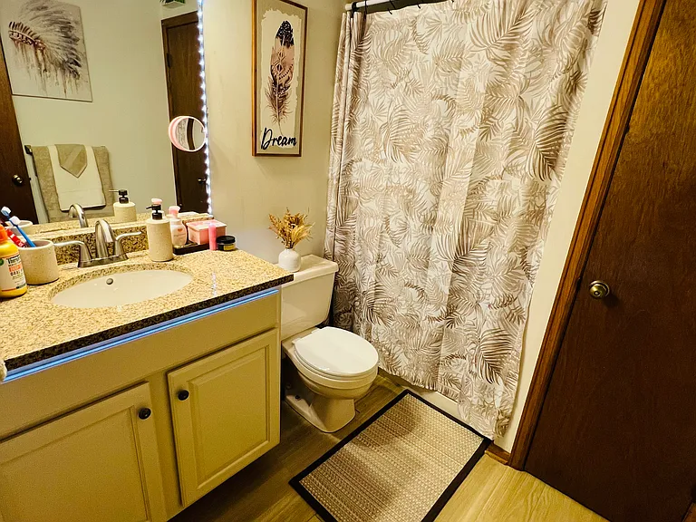 Lower Level Bathroom